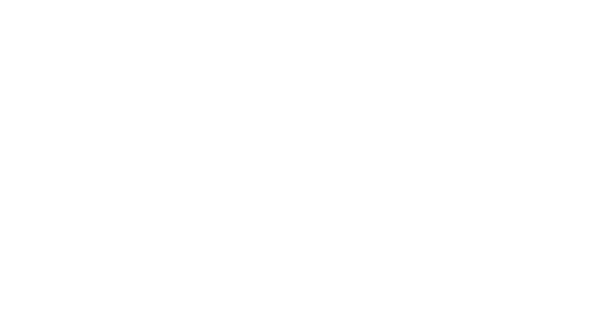 网站